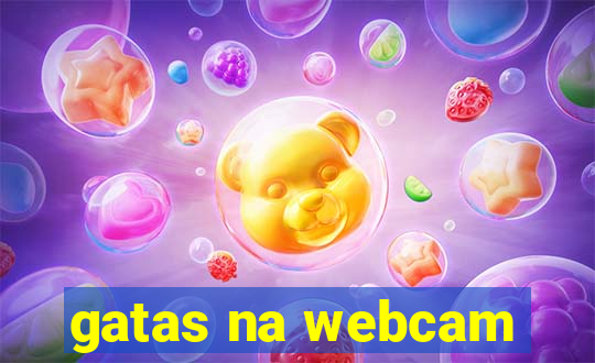 gatas na webcam